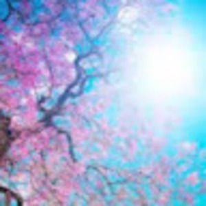 Meet your Posher, Fatimah